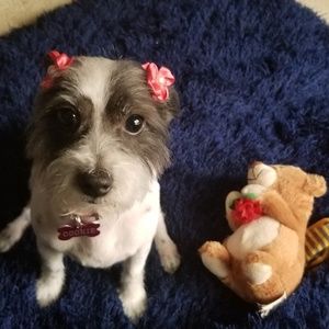 Meet your Posher, Michele